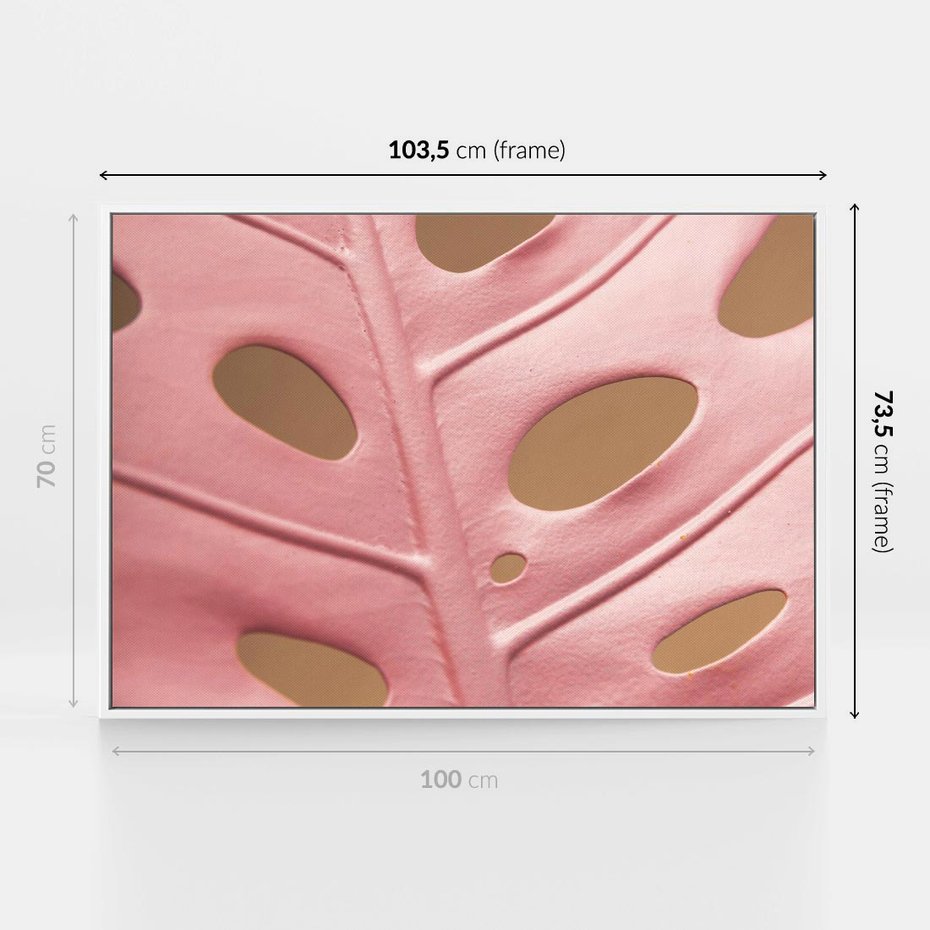 Obraz w ramie 100x70 - Różowa monstera w pełnym rozkwicie - różowa, monstera - rama biała