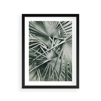 Plakat w ramie 50x70 - Palmy w Zgaszonej Zieleni - palmy, tropikalne liście - rama czarna