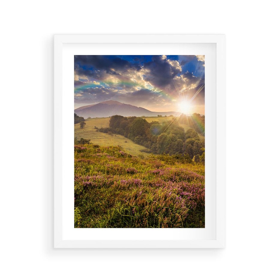 Plakat w ramie 40x50 - Pejzaż na łące - pejzaż, łąka - rama biała