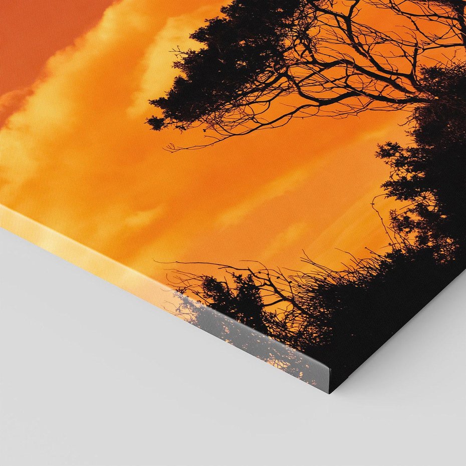 Obraz na płótnie 70x50 - Magiczne Drzewa na Tle Rozległej Sawanny - drzewa, sawanna