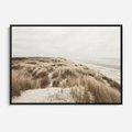Obraz w ramie 100x70 - Nadmorskie Wydmy - fotografia, kolory sepii - rama czarna