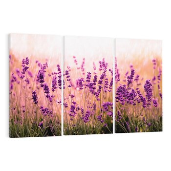Obraz na płótnie 120x80 - Lawenda: Pachnące pole kwiatów - kwiaty, lawenda