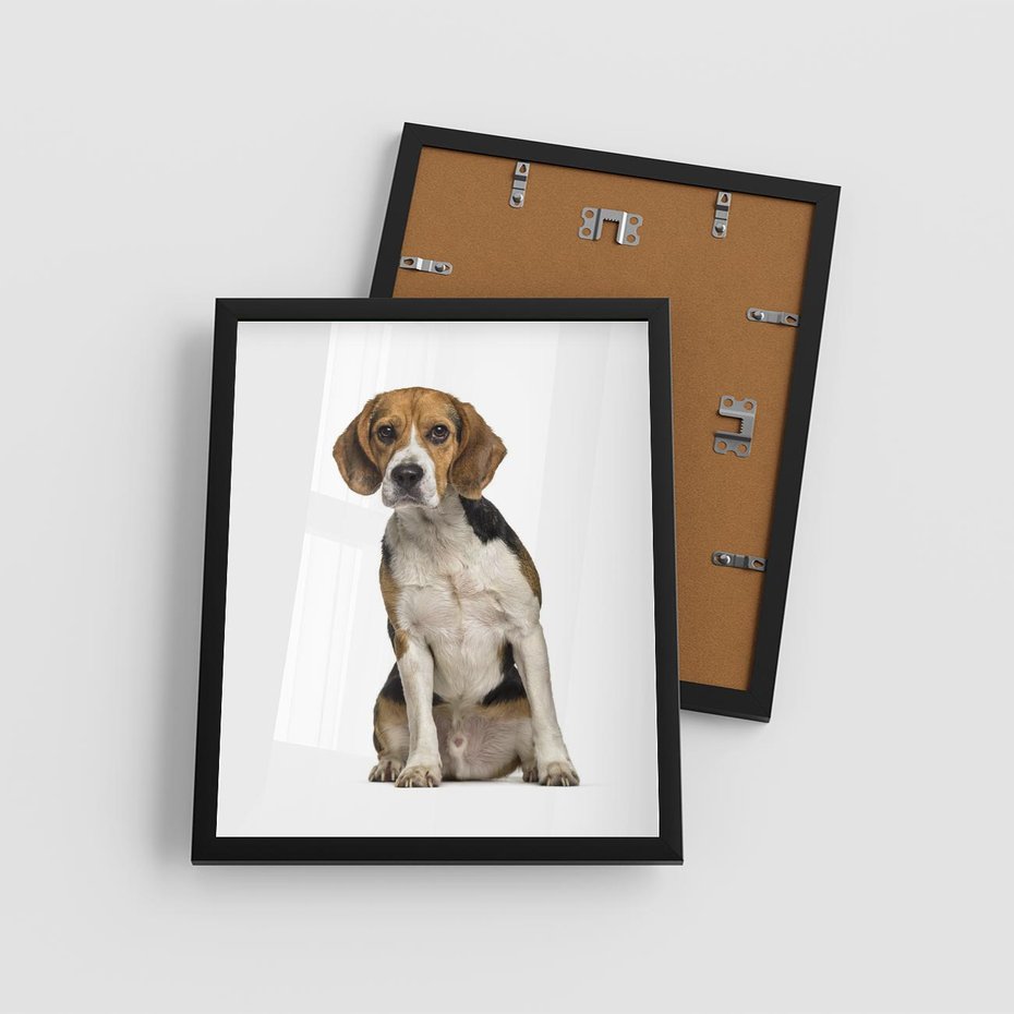 Plakat w ramie 40x50 - Wierność i radość - pies, piesek - rama czarna