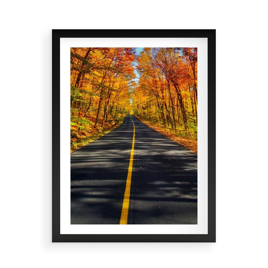 Plakat w ramie 50x70 - Droga przez jesienny las - droga, las - rama czarna