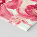 Obraz na płótnie 90x30 - Orchidea - delikatne kwiaty - orchidea, kwiaty
