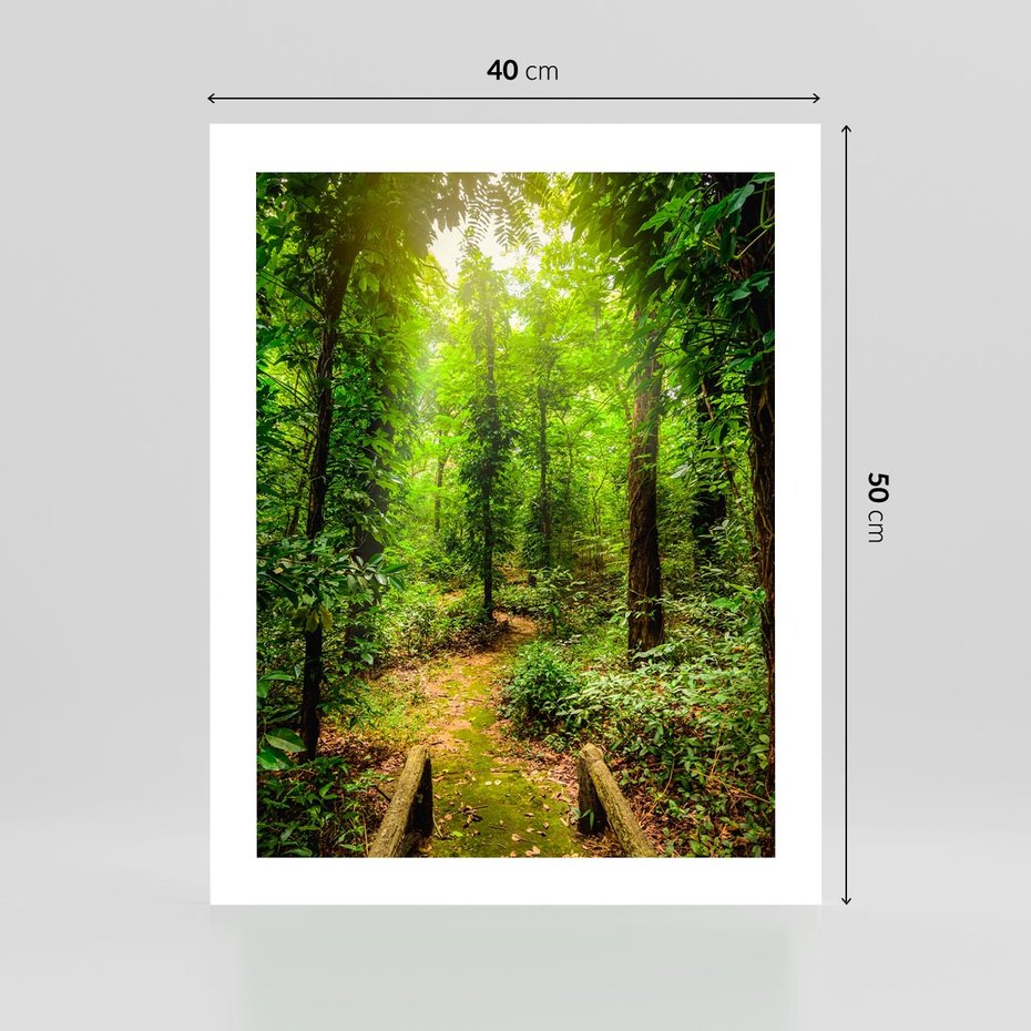 Plakat bez ramy 40x50 - Współistnienie z naturą - drzewa, las