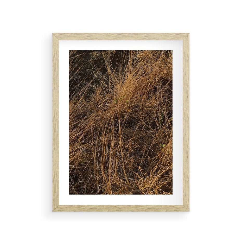 Plakat w ramie 30x40 - Szlachetna Suchość Traw - trawy, suche trawy - rama drewno