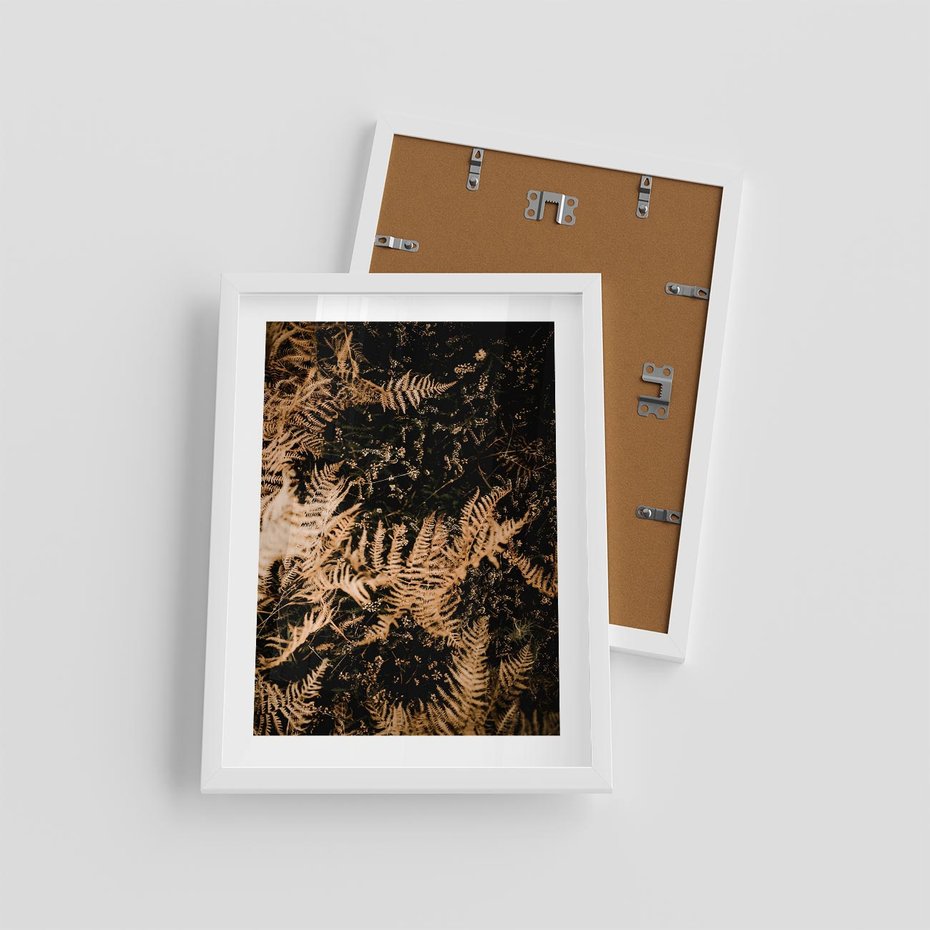 Plakat w ramie 30x40 - Jesienne Paprocie: Kolorowa Paleta Natury - paprocie, jesień - rama biała