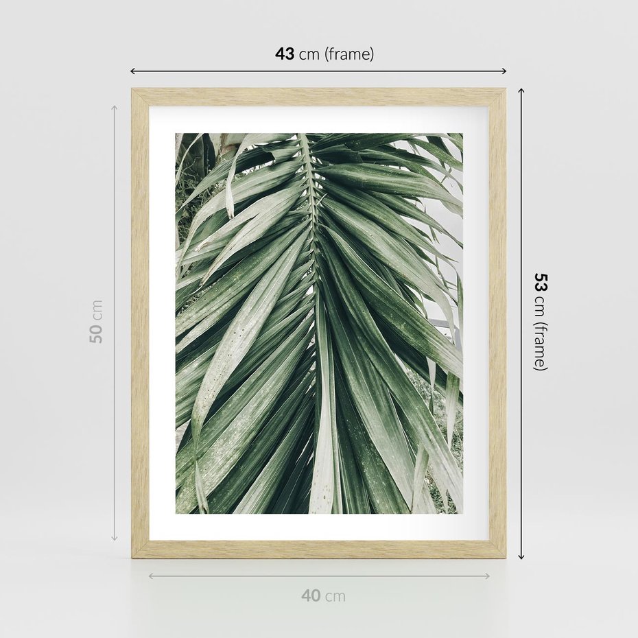 Plakat w ramie 40x50 - Spokojna Piękność Palmowych Liści - palma, liście palmy - rama drewno