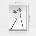 Obraz w ramie 50x70 - Samotne Palmy - czarno biała fotografia, dwie samotne palmy - rama biała