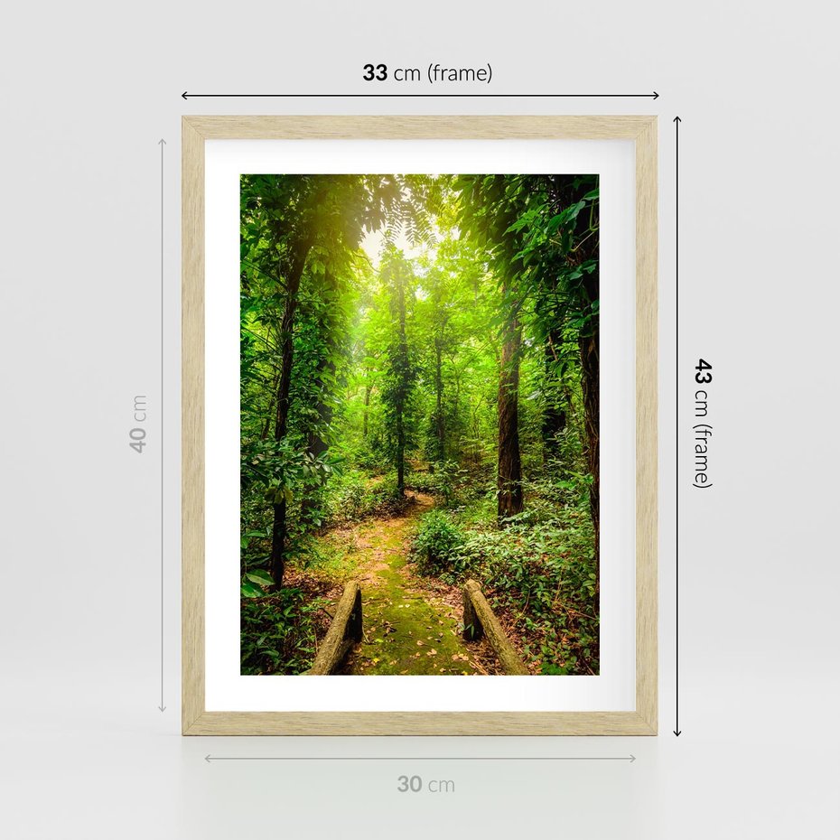 Plakat w ramie 30x40 - Współistnienie z naturą - drzewa, las - rama drewno