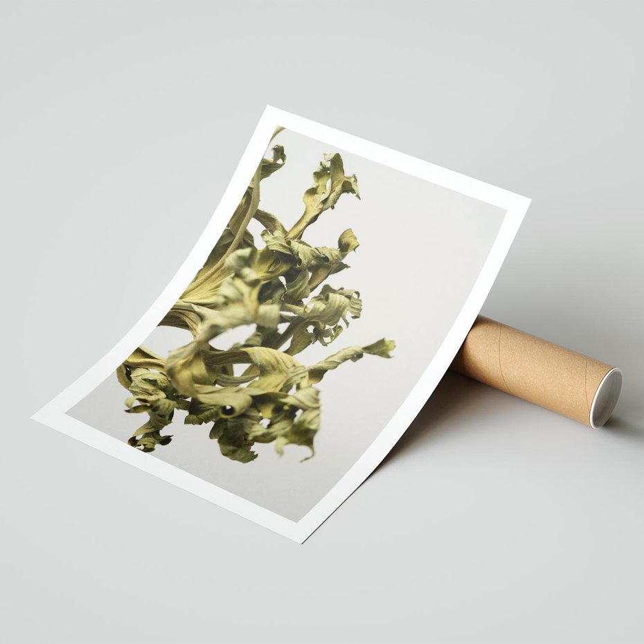 Plakat bez ramy 30x40 - Odejście pory deszczowej - suche, trawy