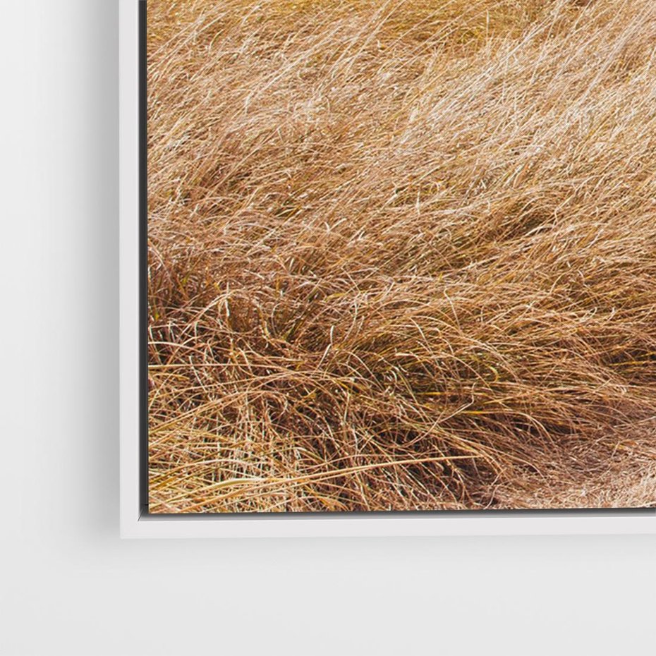 Obraz w ramie 120x80 - Tajemnicza Ścieżka - latarnia morska w oddali, suche trawy - rama biała