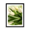 Plakat w ramie 50x70 - Białe Piękno - białe, tulipany - rama czarna