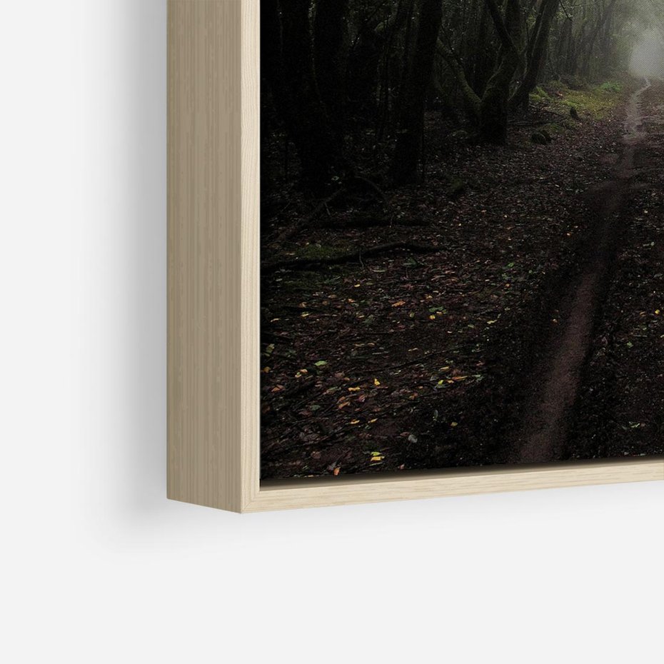 Obraz w ramie 50x50 - Urok Drogi - las, droga - rama drewno