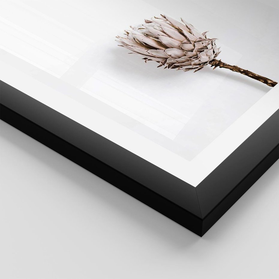Plakat w ramie 50x70 - Suszona Roślina na Białym Tle - minimalizm, suszona roślina - rama czarna