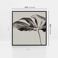 Obraz w ramie 50x50 - Szepczący Liść - szkic, czarno biały - rama czarna