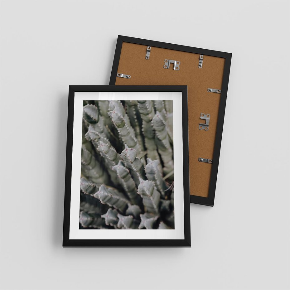 Plakat w ramie 30x40 - Boho kaktusy na pustyni - kaktusy, pustynia - rama czarna