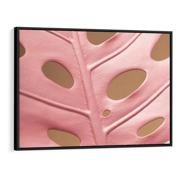 Obraz w ramie 70x50 - Różowa monstera w pełnym rozkwicie - różowa, monstera - rama czarna
