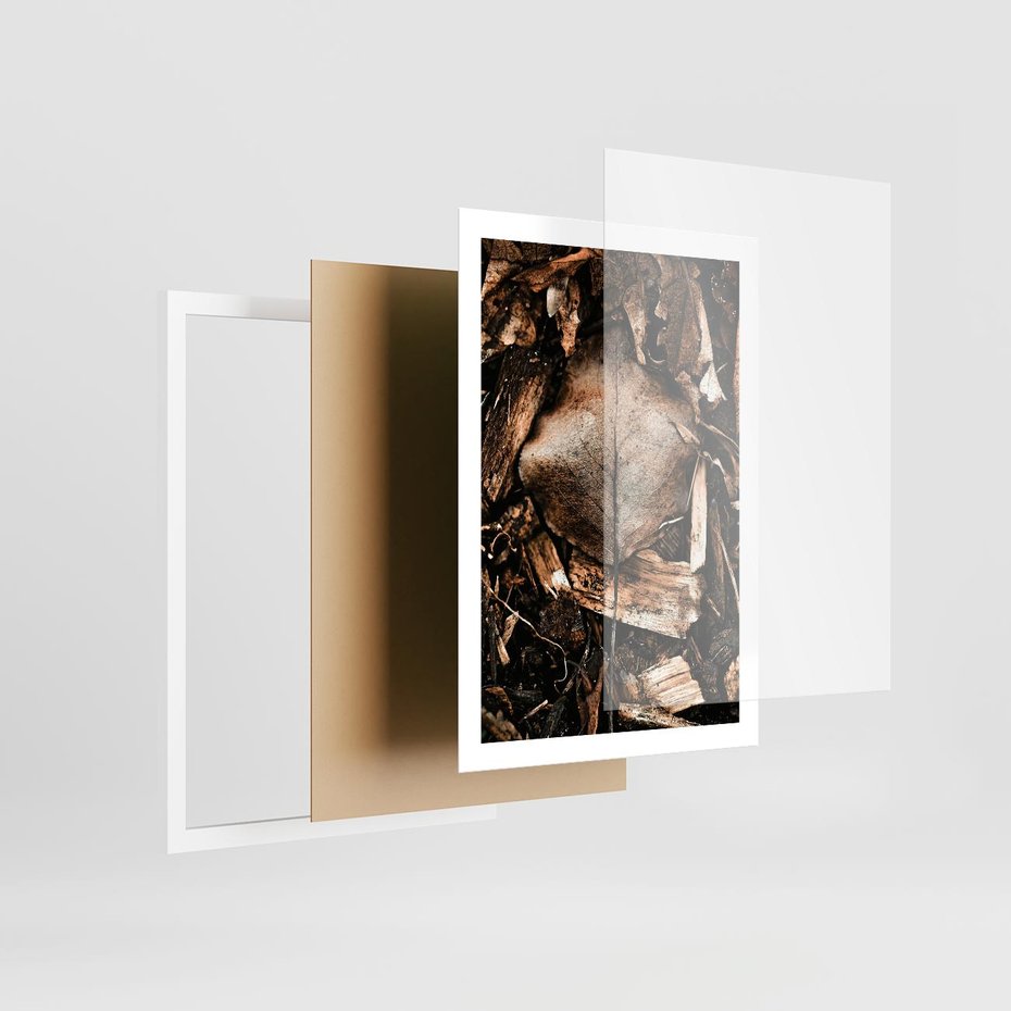 Plakat w ramie 50x70 - Samotny Liść - liść, brąz - rama biała