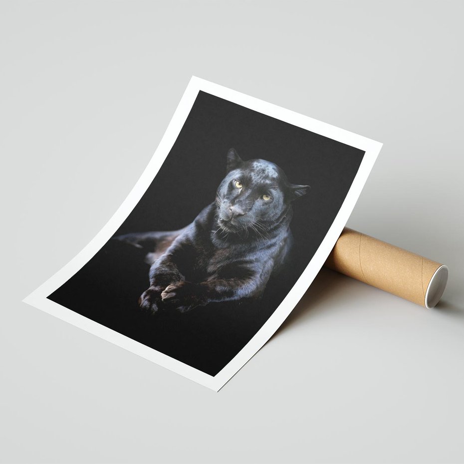 Plakat bez ramy 21x30 - Czarna pantera: majestat i siła - czarna, pantera