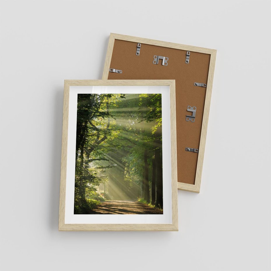 Plakat w ramie 30x40 - harmonia natury - las, drzewa - rama drewno