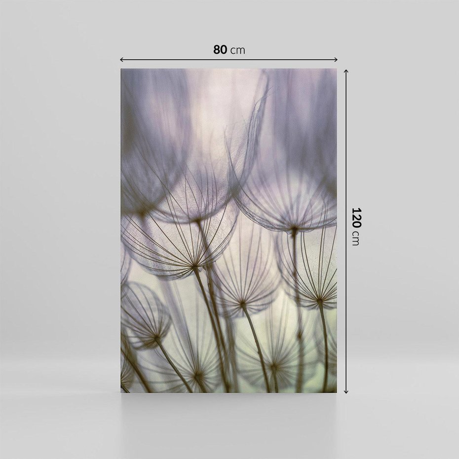 Obraz na płótnie 80x120 - Makro dmuchawiec - piękno drobnych detali - dmuchawce, makro