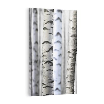 Obraz na płótnie 80x120 - Delikatność brzóz - brzozy, las