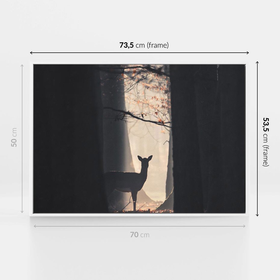 Obraz w ramie 70x50 - Sarnie Skoki - zdjęcie, klimatyczny las - rama biała