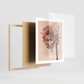 Plakat w ramie 40x50 - Delikatne piękno - suche, kwiaty - rama drewno