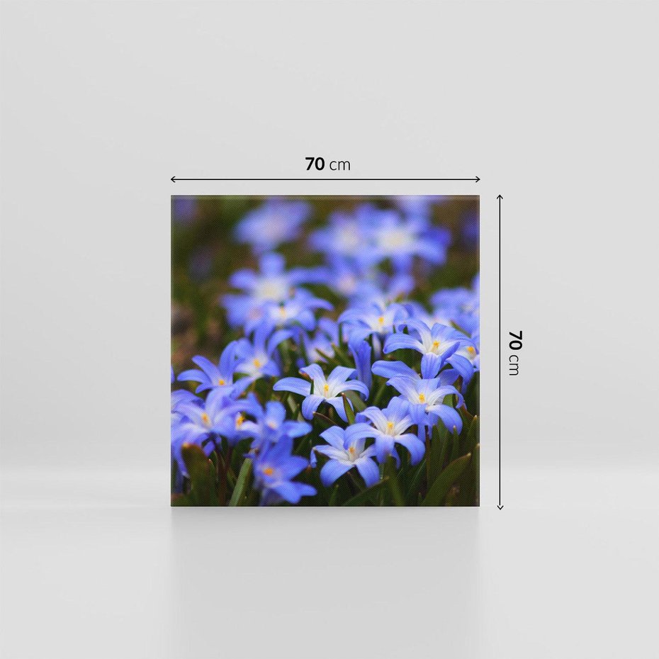 Obraz na płótnie 70x70 - Kwiatowy raj w naturze - kwiat, kwiaty