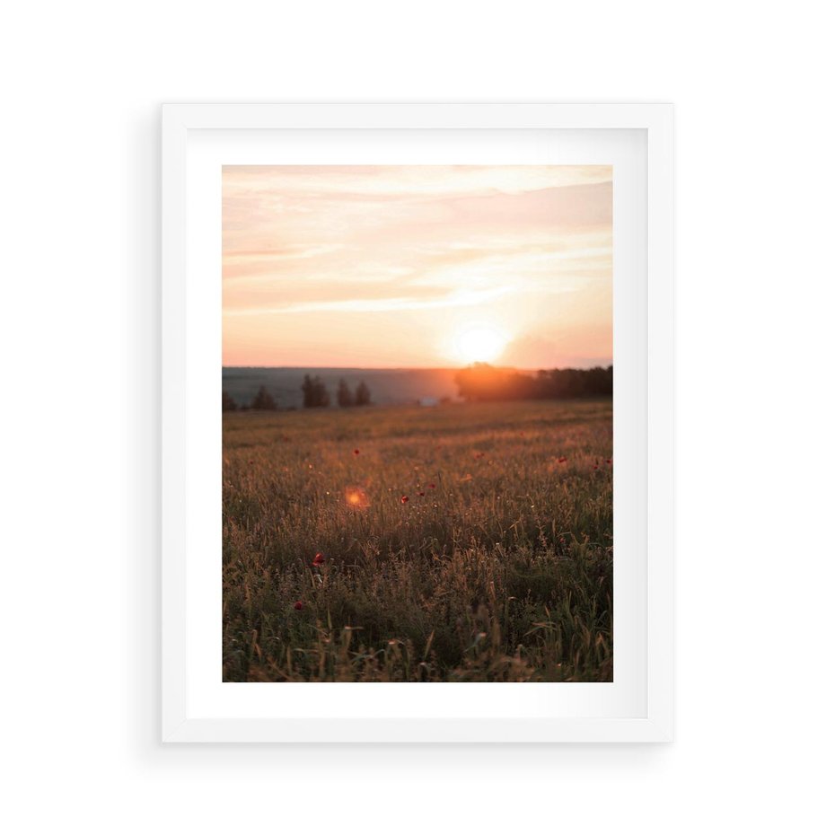 Plakat w ramie 40x50 - Łąka we Wschodzącym Słońcu: Magia Poranka - łąka, krajobraz - rama biała