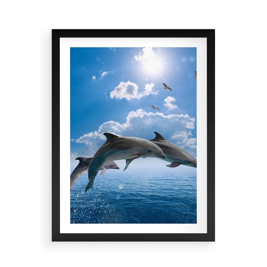 Plakat w ramie 50x70 - Spotkanie z naturą - morze, delfiny - rama czarna