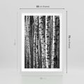 Plakat w ramie 50x70 - Kontrast Monochromatyczny - brzozy, czarno - rama biała