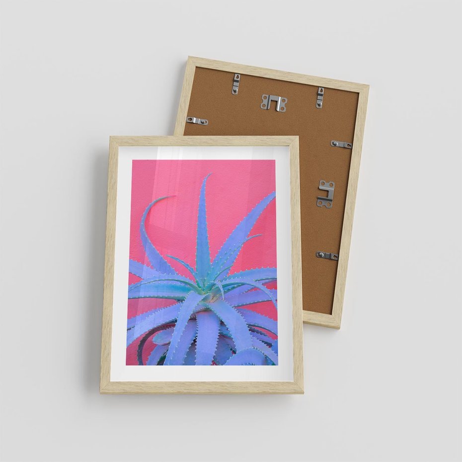 Plakat w ramie 30x40 - Piękno Pustyni - kaktusy, liście - rama drewno