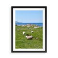 Plakat w ramie 50x70 - Górskie Owce - góry, owce - rama czarna