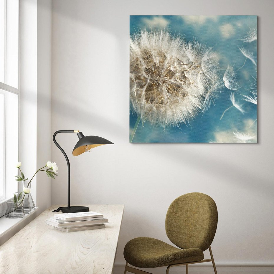 Obraz na płótnie 80x80 - Delikatność dmuchawców w pejzażu - dmuchawiec, kwiaty