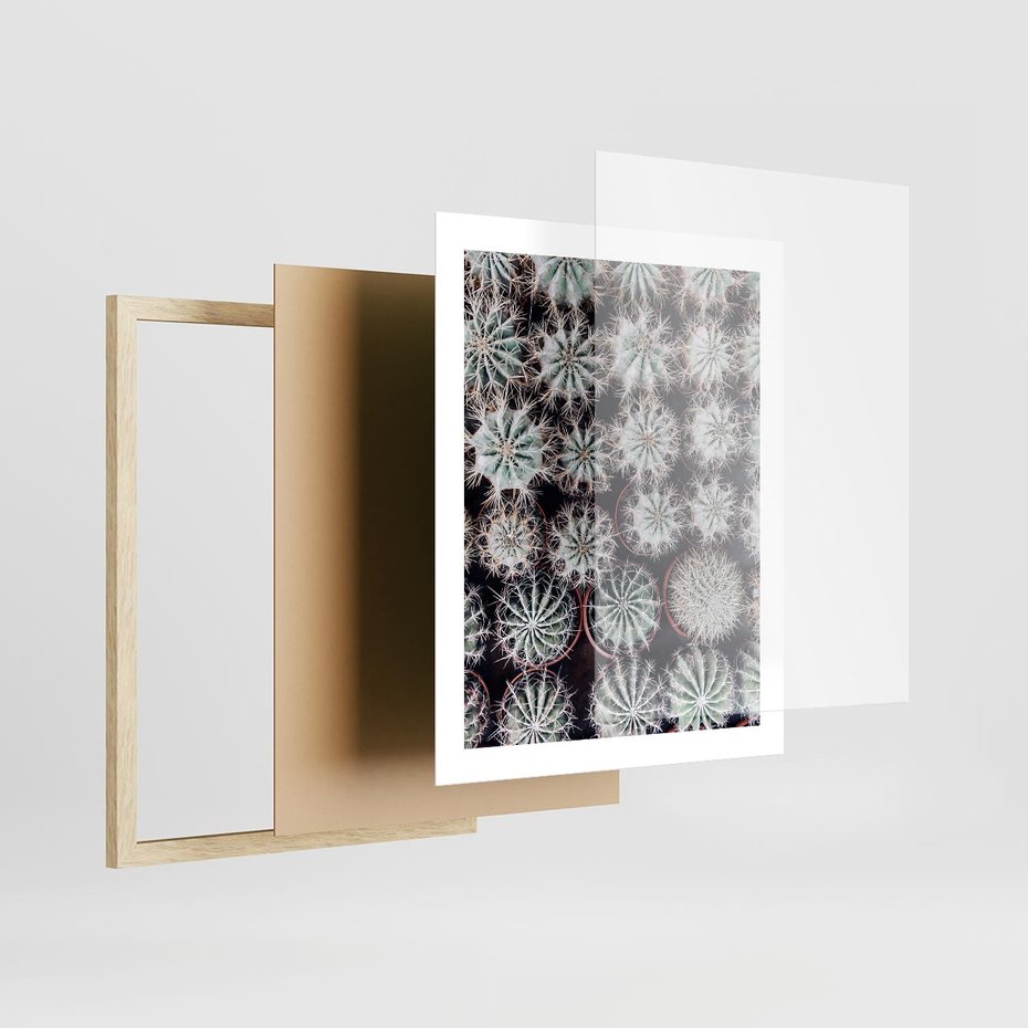 Plakat w ramie 40x50 - Wzór Kaktusów - kaktusy w doniczkach, ujęcie z góry - rama drewno