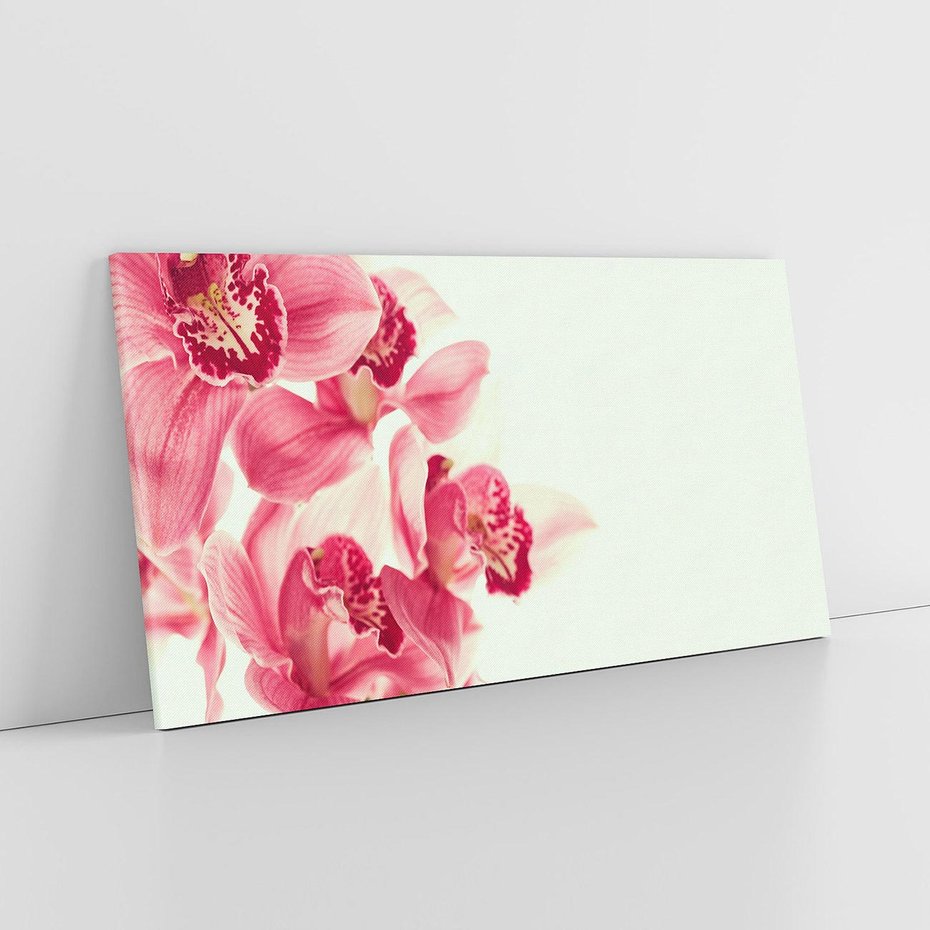 Obraz na płótnie 100x50 - Orchidea - delikatne kwiaty - orchidea, kwiaty