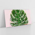 Obraz na płótnie 120x60 - Egzotyczna Roślinność - liście, monstera