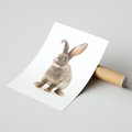 Plakat bez ramy 50x70 - Delikatna Zwierzęca Uroda - królik, zwierzę