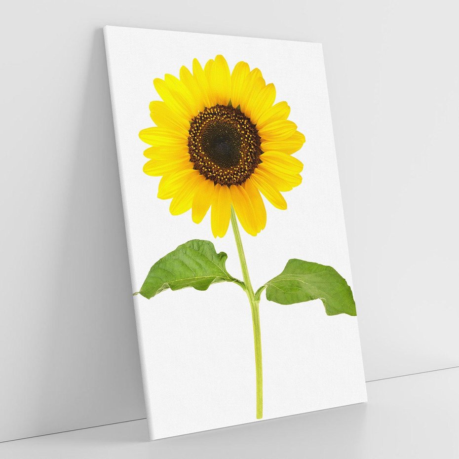 Obraz na płótnie 50x70 - Słoneczniki - Kwiaty Radości - słonecznik, kwiat