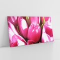 Obraz na płótnie 140x70 - Tulipany w pejzażu - tulipany, kwiaty