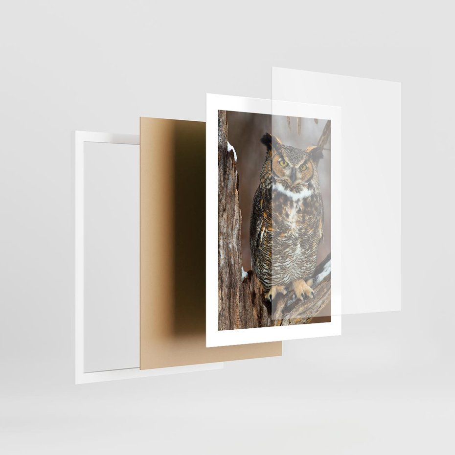 Plakat w ramie 30x40 - Tajemniczy Stróż - sowa, las - rama biała