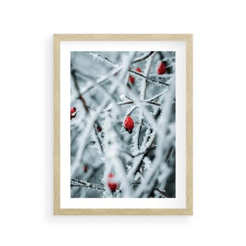 Plakat w ramie 30x40 - Zima na Gałęziach - zima, oszronione gałęzie - rama drewno