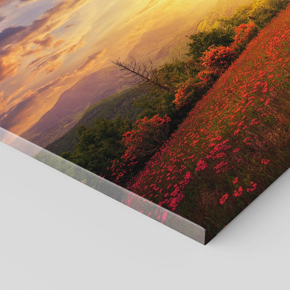 Obraz na płótnie 70x50 - serce natury - drzewo, serce