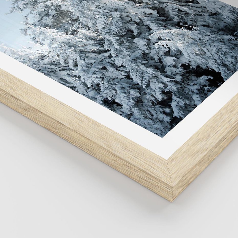 Plakat w ramie 30x40 - Magia Śnieżnych Drzew - zima, iglaste drzewa - rama drewno