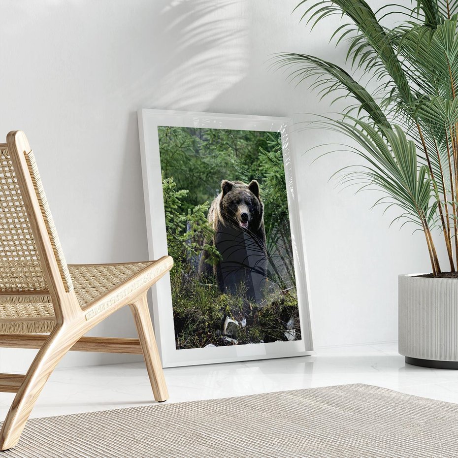 Plakat bez ramy 21x30 - Spotkanie z Niedźwiedziem w Lesie - niedźwiedź, las