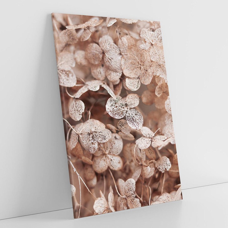 Obraz na płótnie 70x100 - Przemijająca Piękność - fotografia, zbliżenie