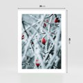 Plakat bez ramy 30x40 - Zima na Gałęziach - zima, oszronione gałęzie